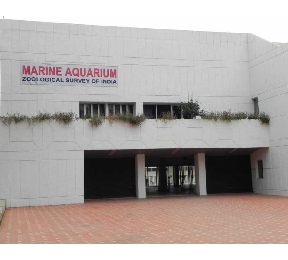 Marine aquarium Digha